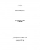 ESTRATEGIA EMPRESARIAL . Informática Empresarial