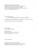 ELABORACIÓN DE ANTIBIOTICO NATURAL PARA COMBATIR ENFERMEDADES RESPIRATORIAS (MIEL DORADA)