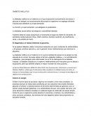 Diabetes mellitus tipo 2. Azúcar en sangre