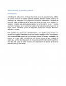 Administracion de sueldos y salarios. Análisis de puesto