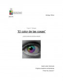 El color de las cosas. Vemos todos los mismos colores