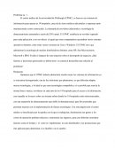 Taller sistemas de información gerencial