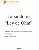 Dinamismo en la tierra