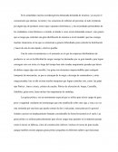 Mecanica de fluidos. Las grúas pórtico