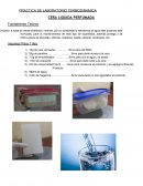 PRACTICA DE LABORATORIO TERMODINAMICA CERA LIQUIDA PERFUMADA