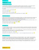 Test de nivel. Prueba de A2