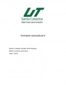 Formación sociocultural