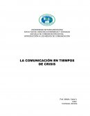 Ensayo: La Comunicación en Tiempos de Crisis