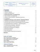 PLAN DIRECTOR DE SEGURIDAD