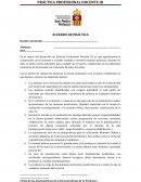 Practica profesional docente