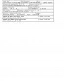 Formato socialdemografico