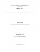 10 lineamientos para una buena socialización en la red