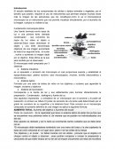 Fundamento microscopía óptica
