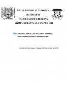 PROSPECTIVA DE LOS RECURSOS HUMANOS, PROFESIONALIZACIÓN Y ORGANIZACIÓN