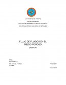 FLUJO DE FLUIDOS EN EL MEDIO POROSO