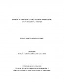 Informe de síntesis de la aplicación del modelo LORI adaptado (mixto) a tres RED