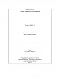 TRABAJO COLABORATIVO N°4 PRODUCTIVIDAD HUMANA