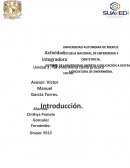 Actividad integradora cuidado holistico