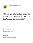 “Efecto de elementos externos sobre la absorción de la Lactasa en comprimidos”