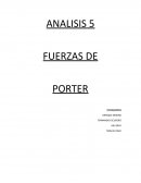 ANALISIS 5 FUERZAS DE PORTER
