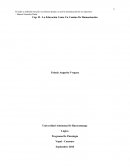 La Educación Como Un Camino De Humanización