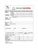 PRÁCTICA I: Determinación de pH en frutas y hortalizas (fase de desarrollo)