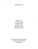Psicología empresarial: Características, teorías y funciones