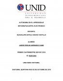 INFOGRAFIA/CARTEL ELECTRONICO