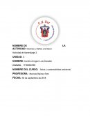 Dioxinas y Daños a la Salud