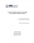 Cuadro de mando integral para sociedad comercializadora insupan ltda