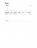 Clasificación e Identificación de los Productos Pampers en el Mercado