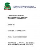 ¿Qúe es el agua de coco y la semilla de alpiste?