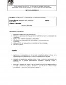 ESTRUCTURA Y GESTIÓN DE LAS ORGANIZACIONES