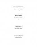 TRABAJO DE INFORMATICA “LOS ROBOTS EN MARTE”