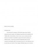 Proyecto de economia