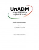 Ensayo Los 14 Principios de Henry Fayol