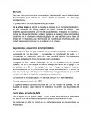 MÉTODO. El procedimiento consistió básicamente de 3 etapas