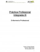 Práctica Profesional Integrada III Enfermería Profesional