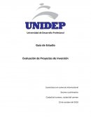 Guia de evaluacion de proyectos de inversion
