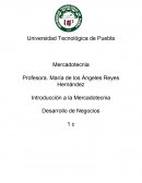 Introducción a la Mercadotecnia Desarrollo de Negocios