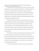 Caso Directo General de Gaijin Sony