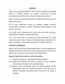 Obesidad en el embarazo