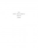 IGIND55-1 - IMPACTO AMBIENTAL