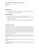 Microscopia y tinciones