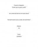 Proyecto Integrador “Verde que te quiero verde” “Contaminación en los canales de Xochimilco”