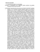 Formación de la nación y la nacionalidad. Constitución de Guáimaro