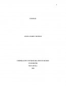 COSTO II ¿Qué es Costo estándar?