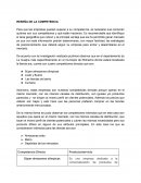 RESEÑA DE LA COMPETENCIA