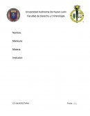 La Evolución Teórica de la Paz