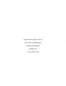 Gestión de la Emergencia. Como enfrentar un ataque terrorista